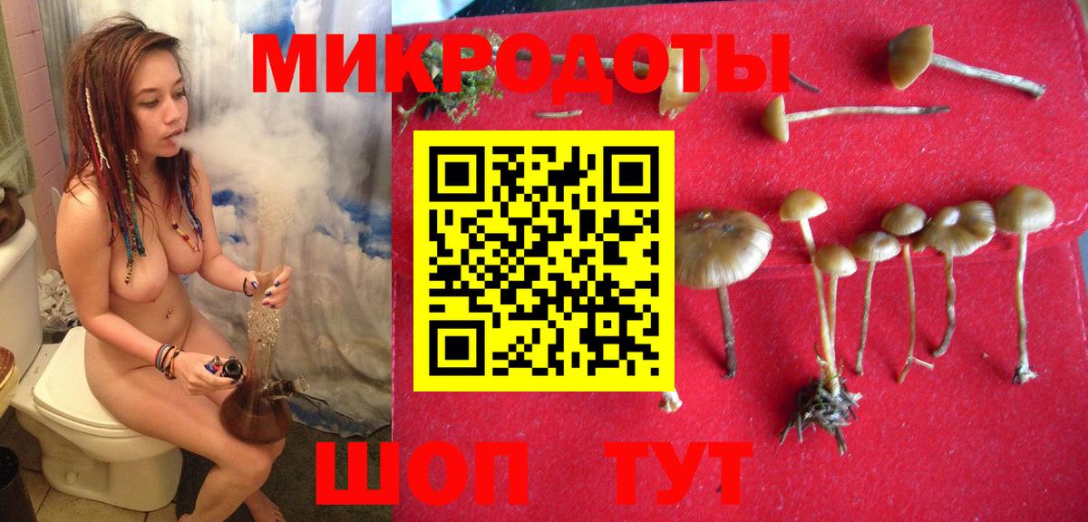Псилоцибиновые грибы GOLDEN TEACHER Орехово-Зуево
