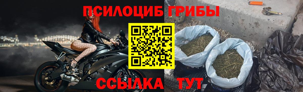 Псилоцибиновые грибы Psilocybine cubensis  Вход с VPN  Орехово-Зуево 